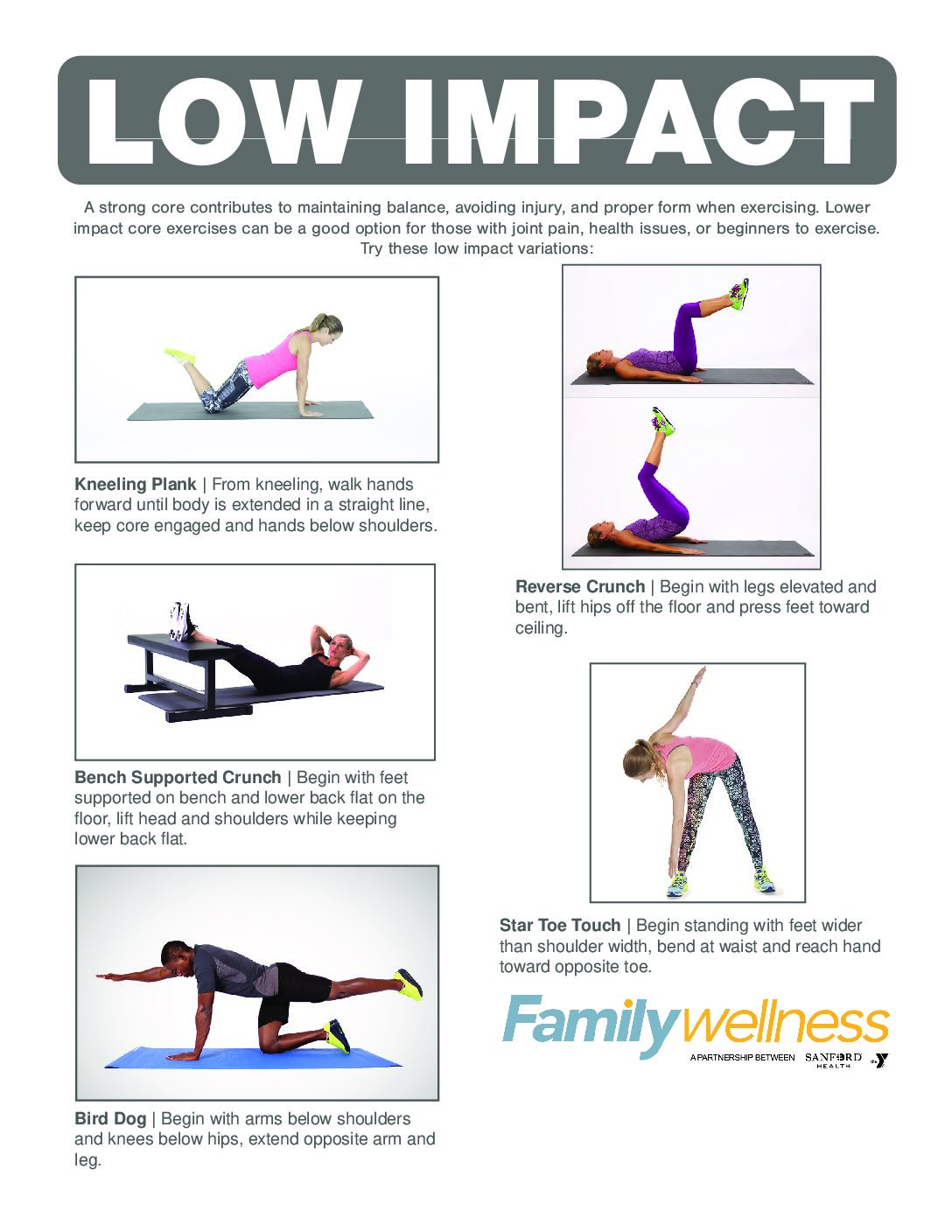 Low Impact Exercises - Family Wellness Fargo